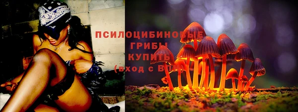 Альфа ПВП Нея