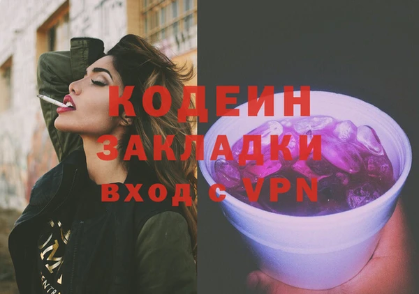 индика Богородицк