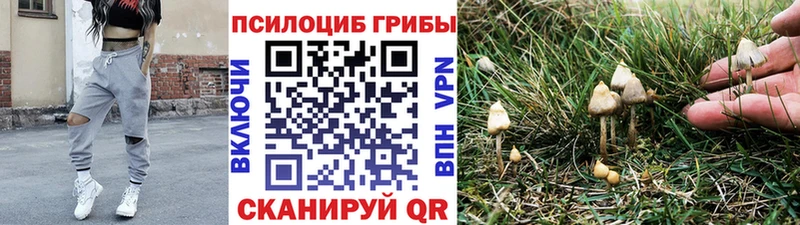 Псилоцибиновые грибы прущие грибы  Шарыпово 