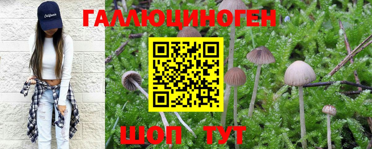 Псилоцибиновые грибы Cubensis  Вход с VPN  Шарыпово 