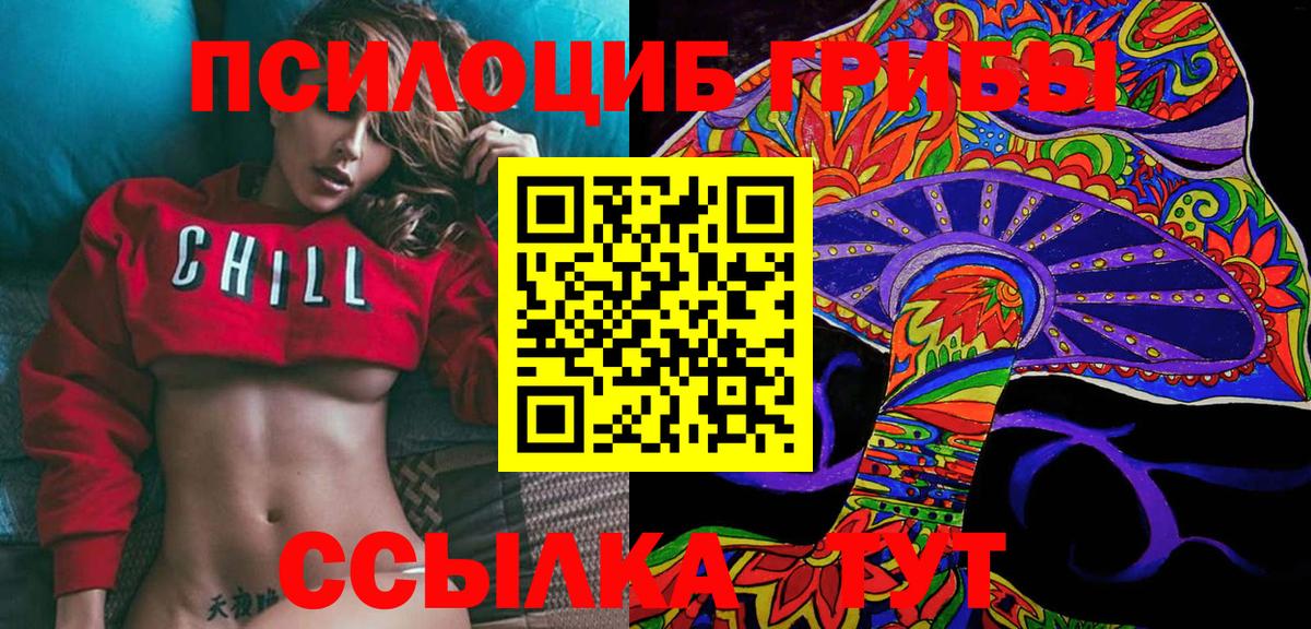 Галлюциногенные грибы Psilocybe  Шарыпово 