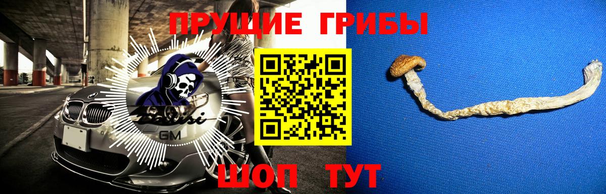 Галлюциногенные грибы прущие грибы Шарыпово