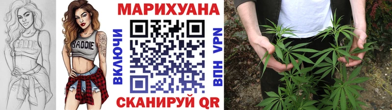 Канабис гибрид Шарыпово
